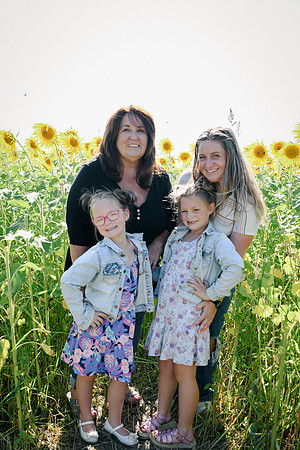 Sunflowers [twins] 41