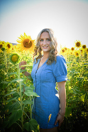Sunflowers [Juliette] 14