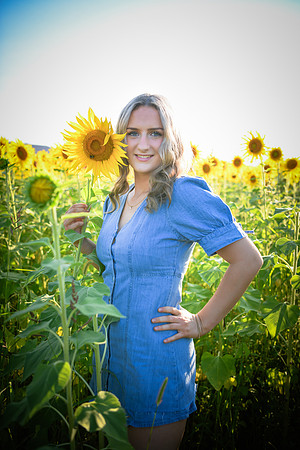 Sunflowers [Juliette] 15