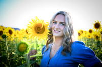 Sunflowers [Juliette] 17