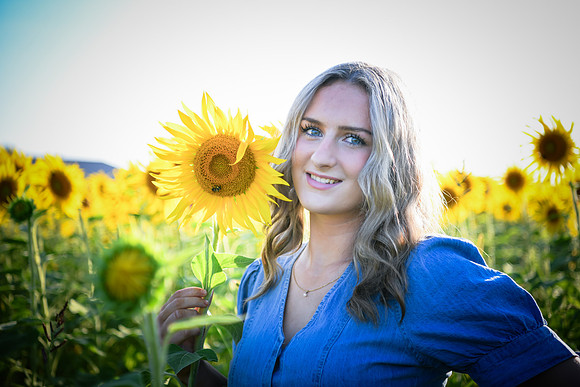 Sunflowers [Juliette] 17