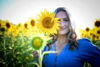 Sunflowers [Juliette] 18