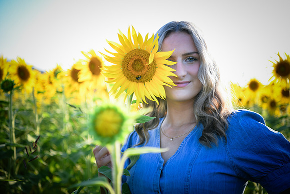 Sunflowers [Juliette] 18