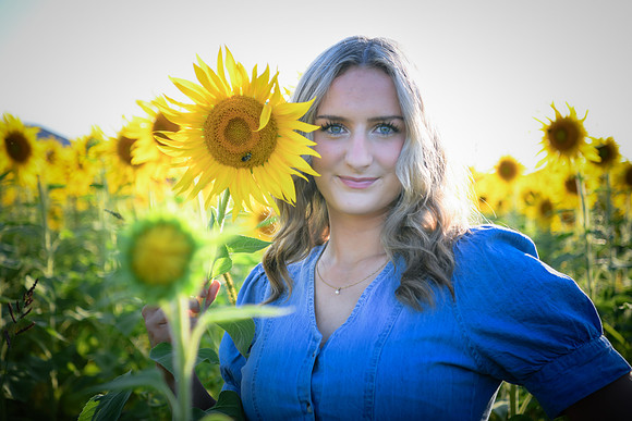 Sunflowers [Juliette] 20