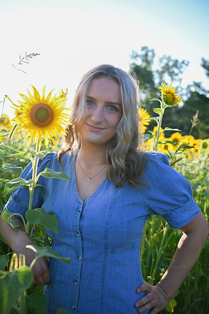 Sunflowers [Juliette] 50