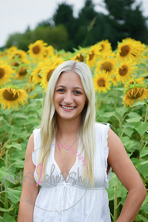 Sunflowers [kenzie] peek 01