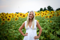 Sunflowers [kenzie] peek 04