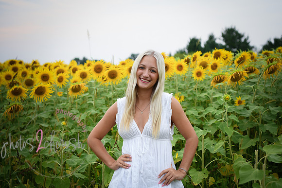 Sunflowers [kenzie] peek 04