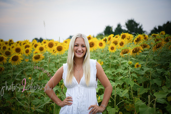 Sunflowers [kenzie] peek 02