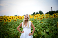 Sunflowers [kenzie] peek 03