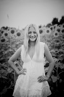 Sunflowers [kenzie] peek 06