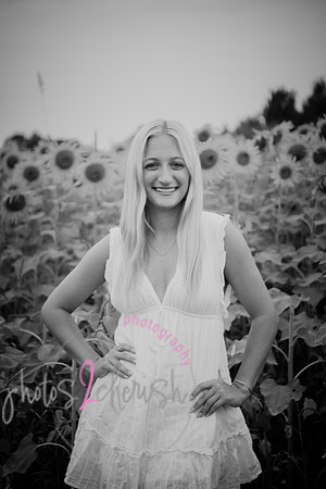Sunflowers [kenzie] peek 06