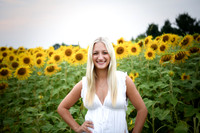 Sunflowers [kenzie] peek 08