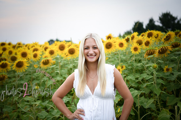 Sunflowers [kenzie] peek 08