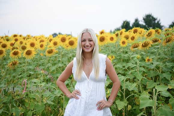 Sunflowers [kenzie] peek 09