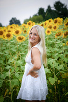 Sunflowers [kenzie] peek 10