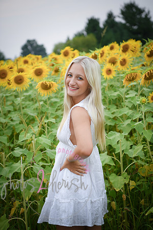 Sunflowers [kenzie] peek 10