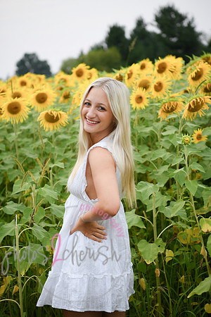 Sunflowers [kenzie] peek 11