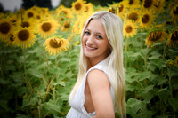 Sunflowers [kenzie] peek 12