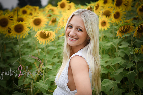 Sunflowers [kenzie] peek 12