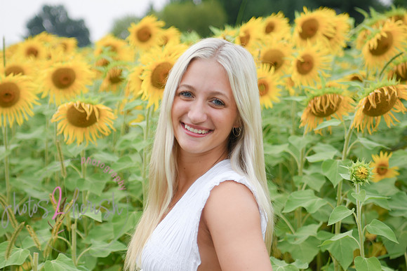 Sunflowers [kenzie] peek 15