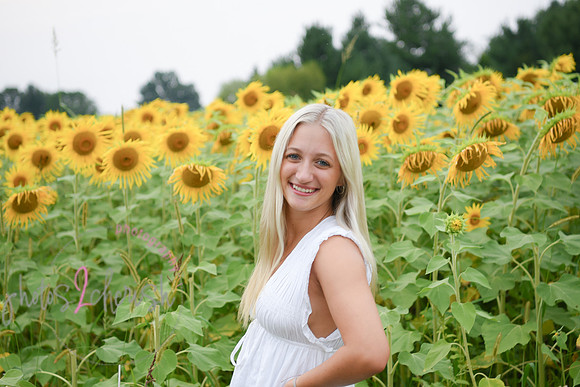 Sunflowers [kenzie] peek 16