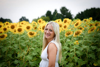 Sunflowers [kenzie] peek 17