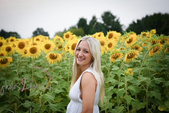 Sunflowers [kenzie] peek 17