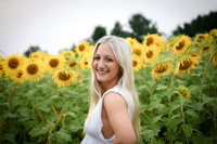 Sunflowers [kenzie] peek 18