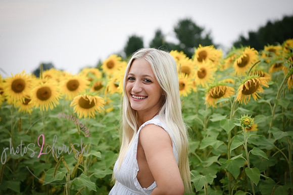 Sunflowers [kenzie] peek 18