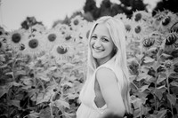 Sunflowers [kenzie] peek 19