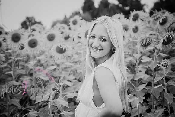 Sunflowers [kenzie] peek 19