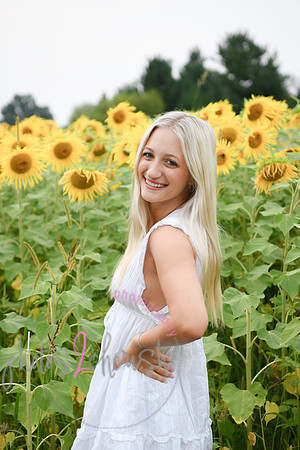 Sunflowers [kenzie] peek 20