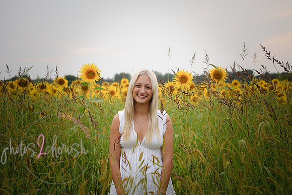 Sunflowers [kenzie] peek 21