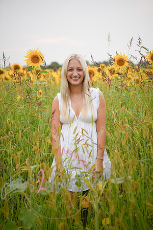 Sunflowers [kenzie] peek 22