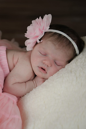 Alivia newborn 077