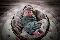 Alivia newborn 092