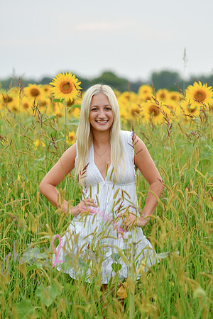 Sunflowers [kenzie] peek 028