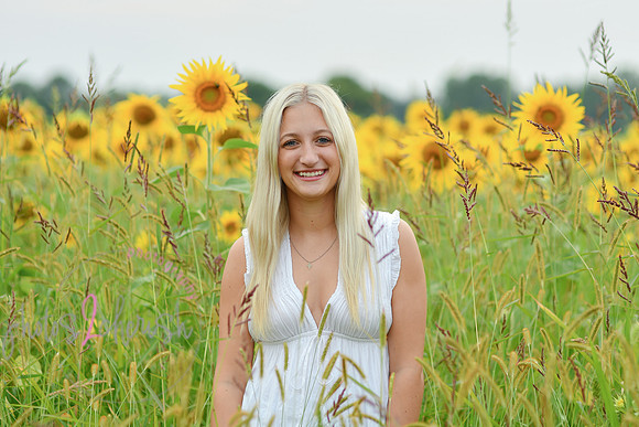 Sunflowers [kenzie] peek 027