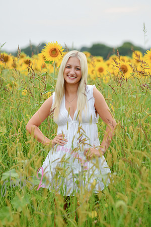 Sunflowers [kenzie] peek 030
