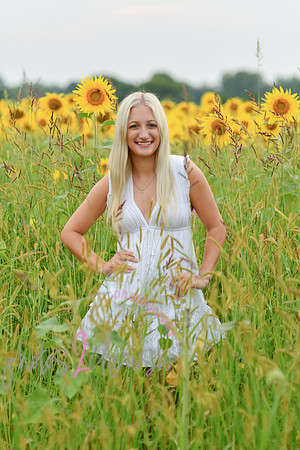 Sunflowers [kenzie] peek 029