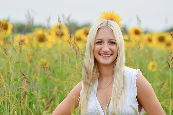Sunflowers [kenzie] peek 031