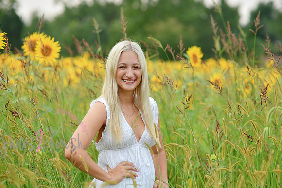 Sunflowers [kenzie] peek 033