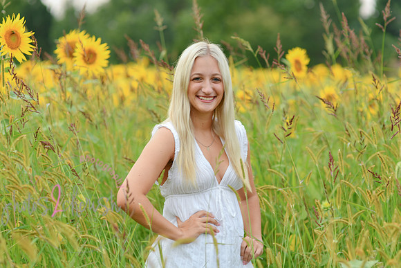Sunflowers [kenzie] peek 034