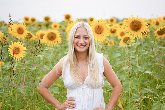 Sunflowers [kenzie] peek 035