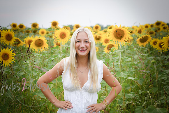 Sunflowers [kenzie] peek 036