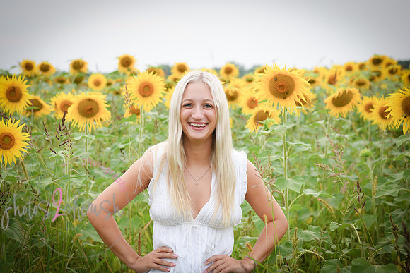 Sunflowers [kenzie] peek 037