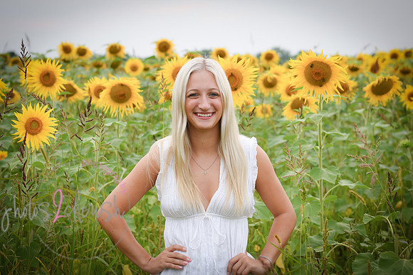 Sunflowers [kenzie] peek 039