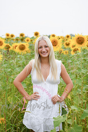Sunflowers [kenzie] peek 040