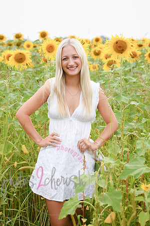 Sunflowers [kenzie] peek 041